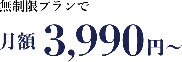 無制限プランで、月額3,990円～